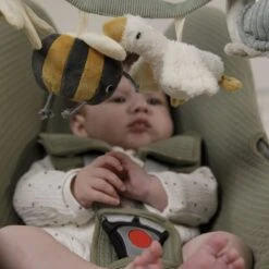 Wagenspanner Little Goose - Little Dutch -Baby Care Verkoop 1200x1200 422