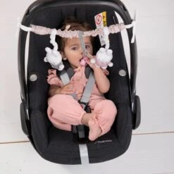 Autostoelspeeltje Nijntje Pink Baby -Baby Care Verkoop 1200x1200 519