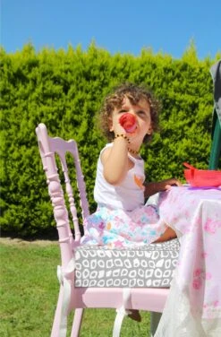 Babyjem Booster Chair Grey -Baby Care Verkoop 789x1200 1