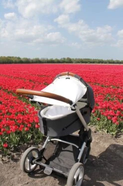 Dooky Universal Cover Zonnescherm Kinderwagen - Crème -Baby Care Verkoop 800x1200 33